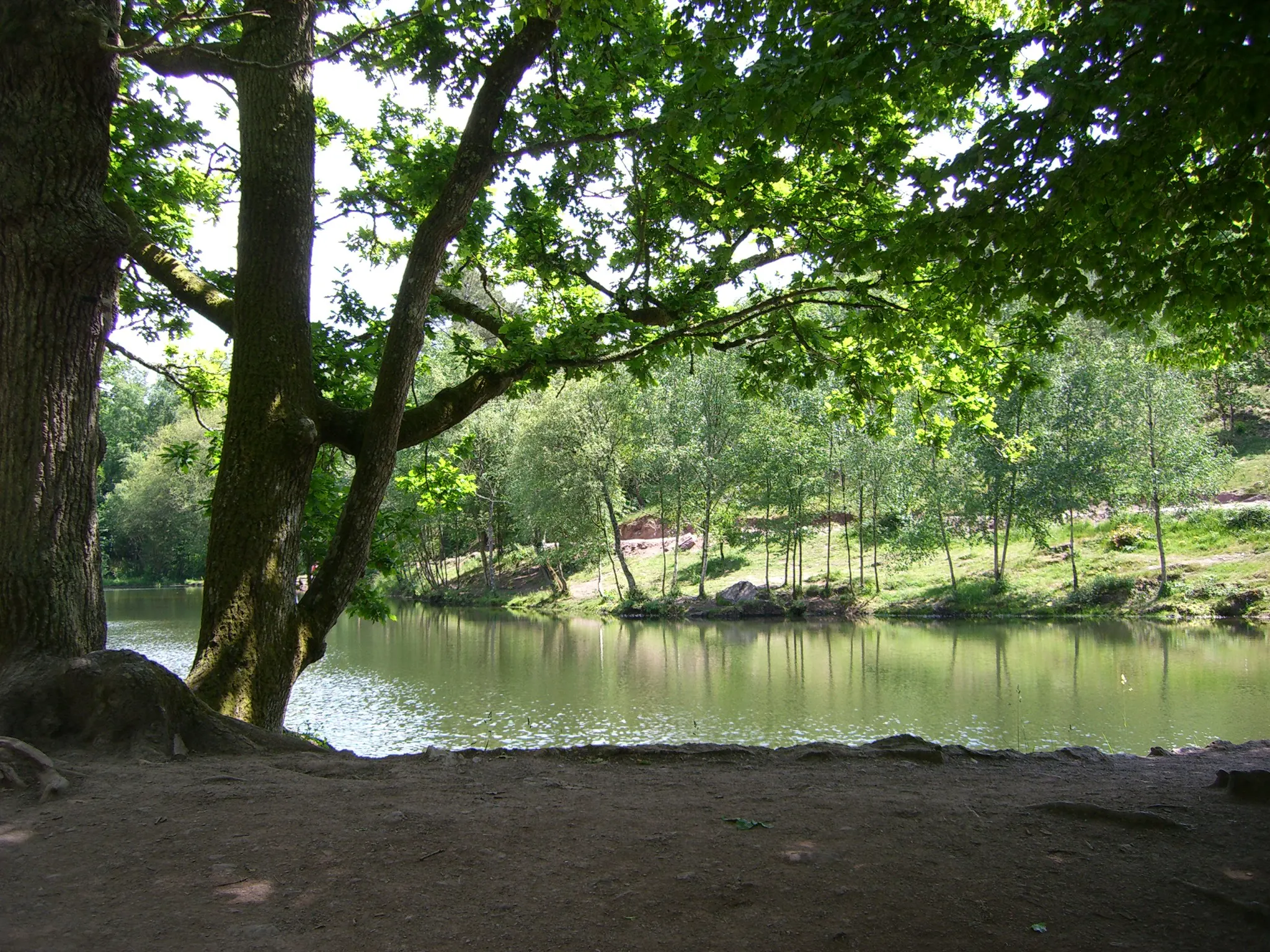 2006 Jun - Le Miroir aux Fées (The Fairy Mirror) - Brocéliande Forest - Brittany